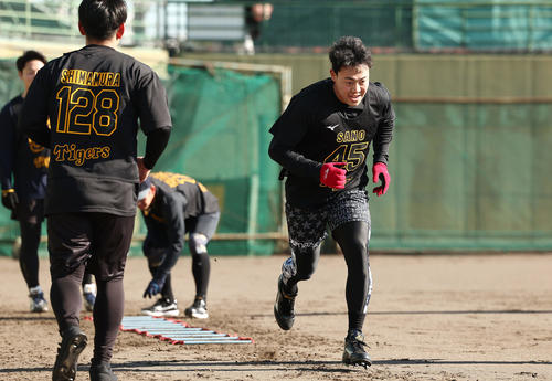 新人合同自主トレに臨む阪神佐野（撮影・前田充）