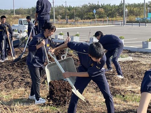 SSH授業の一環で、震災後、災害減災効果が認められる海岸防災林の植樹を続けている野球部