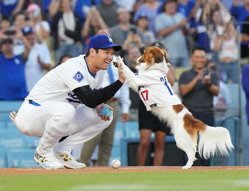 8月、ドジャース対オリオールズ　始球式を務めた愛犬デコピンとタッチをする大谷（撮影・菅敏）