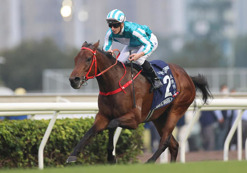 香港カップ3連覇がかかるロマンチックウォリアー(C)The Hong Kong Jockey Club