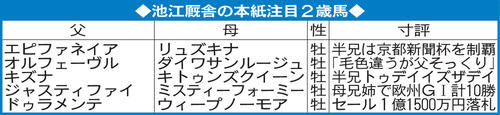 池江厩舎の本紙注目２歳馬