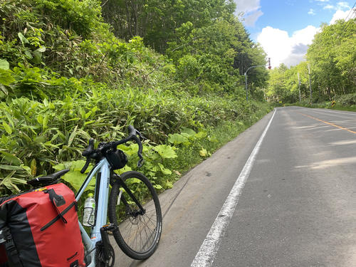 自然の色が濃い北海道の道。この辺りはまだ晴れていたのだが…