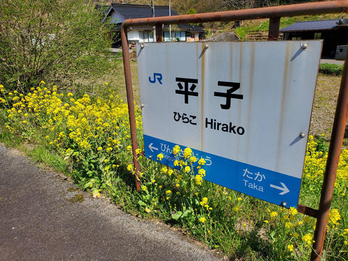 〈11〉花に覆われた駅名標がかえって美しい