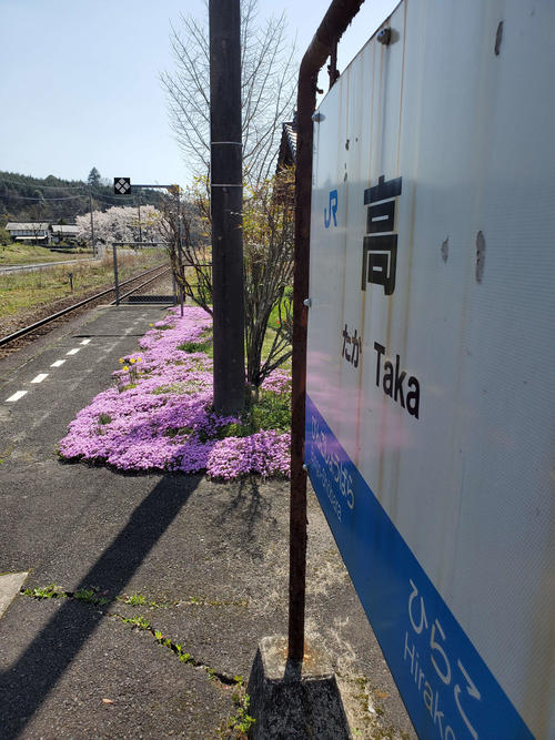 〈6〉駅名は「たか」。ホームもホームの向こうの花も美しかった